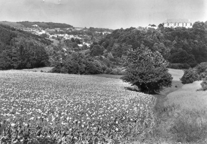 Zámek kolem roku 1960